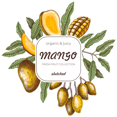 Summer background. Tropical fruit sketches. Mango hand-drawn vector illustration. Exotic plants frame. Juice packaging, invitation card template, print design. NOT AI generated
